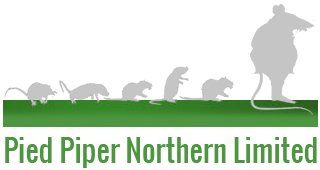 Pied Piper Northern Limited