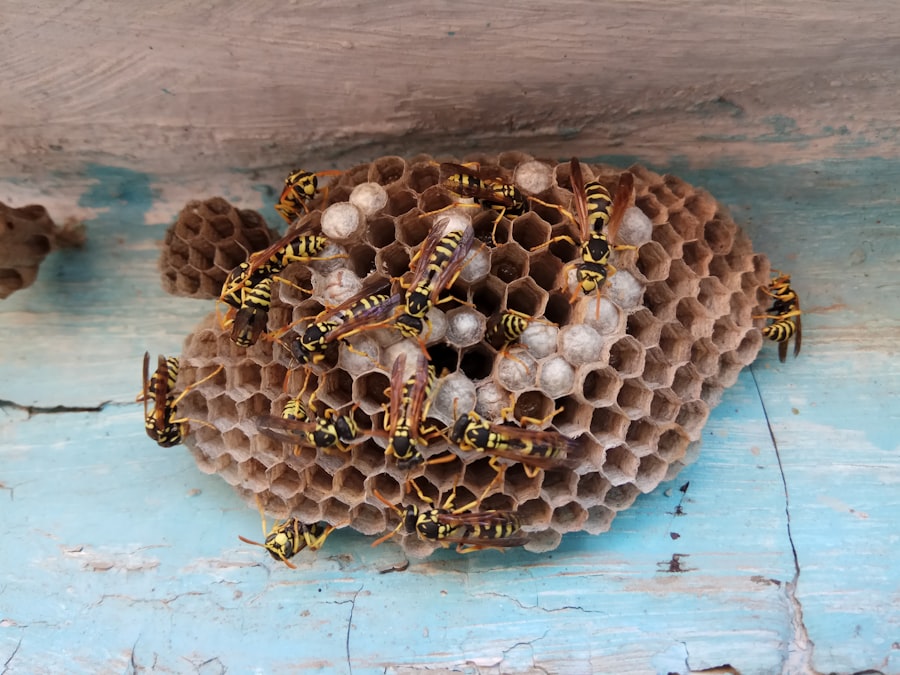 Insect Treatment